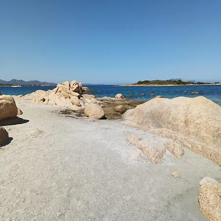Veronese Olbia