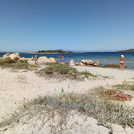 Veronese * Olbia