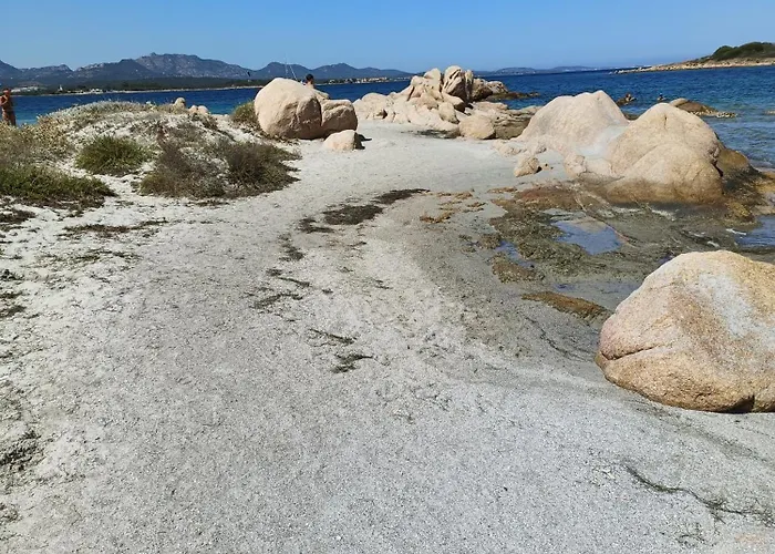 Apartment Veronese Olbia